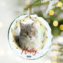 Custom Photo Christmas Pet Memorial Pet First Christmas - Personalized Circle Glass Ornament