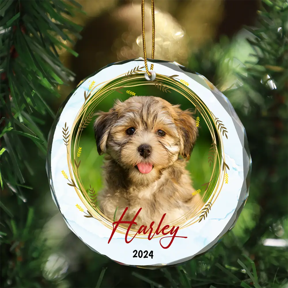Custom Photo Christmas Pet Memorial Pet First Christmas - Personalized Circle Glass Ornament
