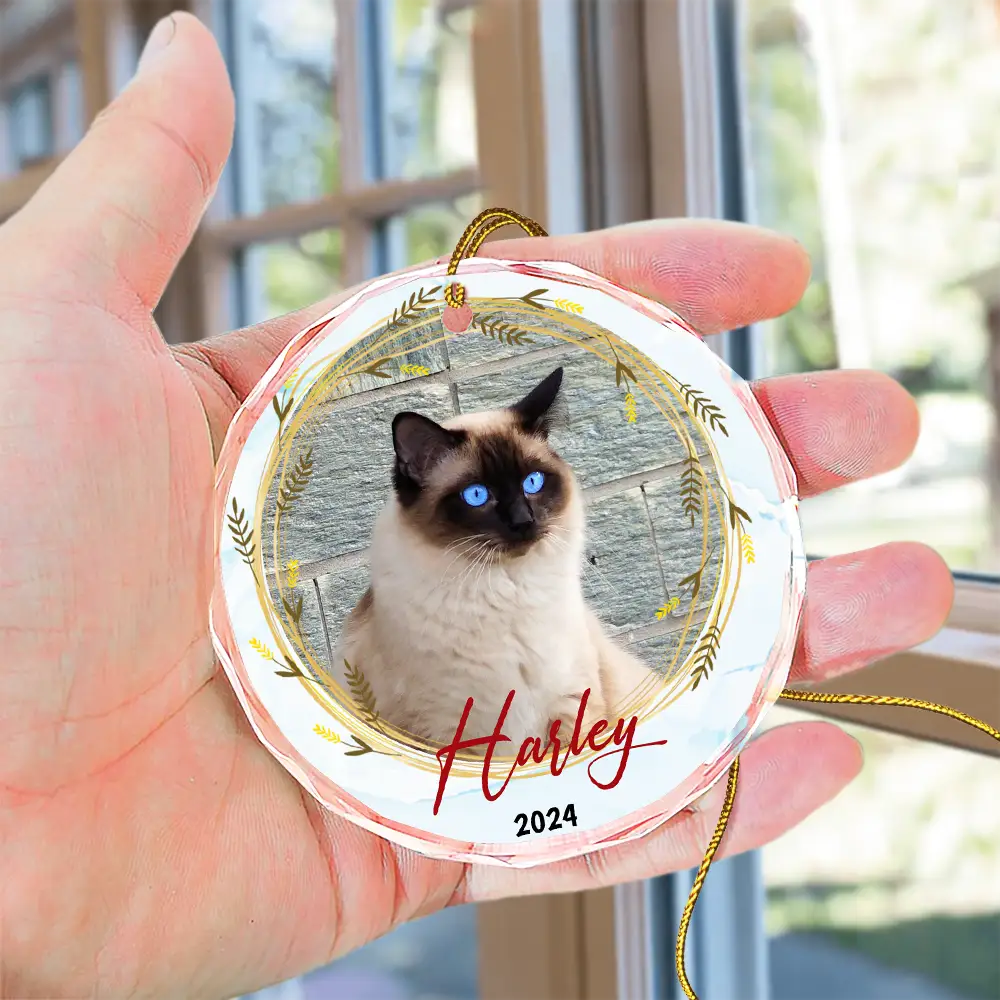 Custom Photo Christmas Pet Memorial Pet First Christmas - Personalized Circle Glass Ornament