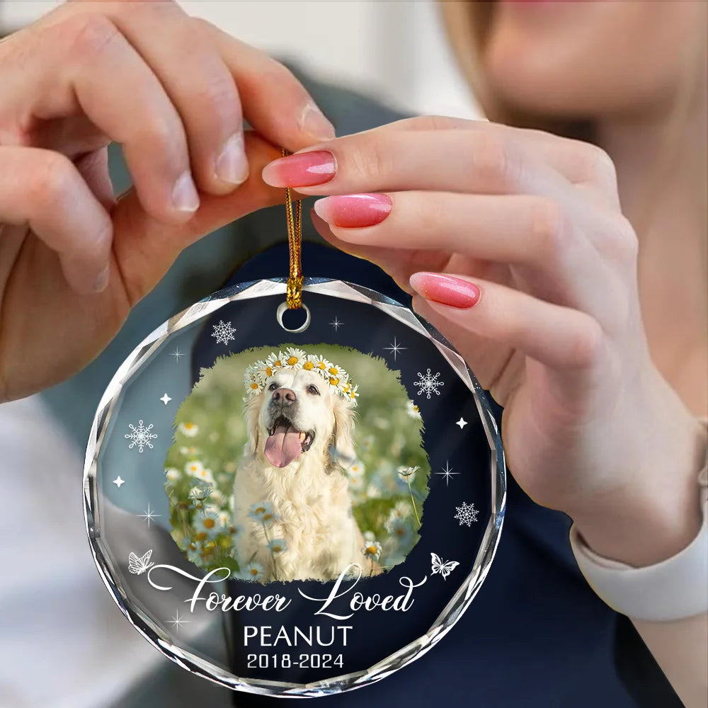 Souvenir photo personnalisé pour perte de chien ou de chat - Ornement en verre rond personnalisé 