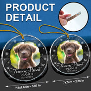 Souvenir photo personnalisé pour perte de chien ou de chat - Ornement en verre rond personnalisé 