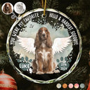 Custom Photo Memorial Dog Cat Favorite Hello & Hardest Goodbye - Personalized Circle Glass Ornament