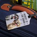 Dog Lovers, Pet Lovers, Travel - Property Of My Human 3D Effect Dogs - Personalized Luggage Tag