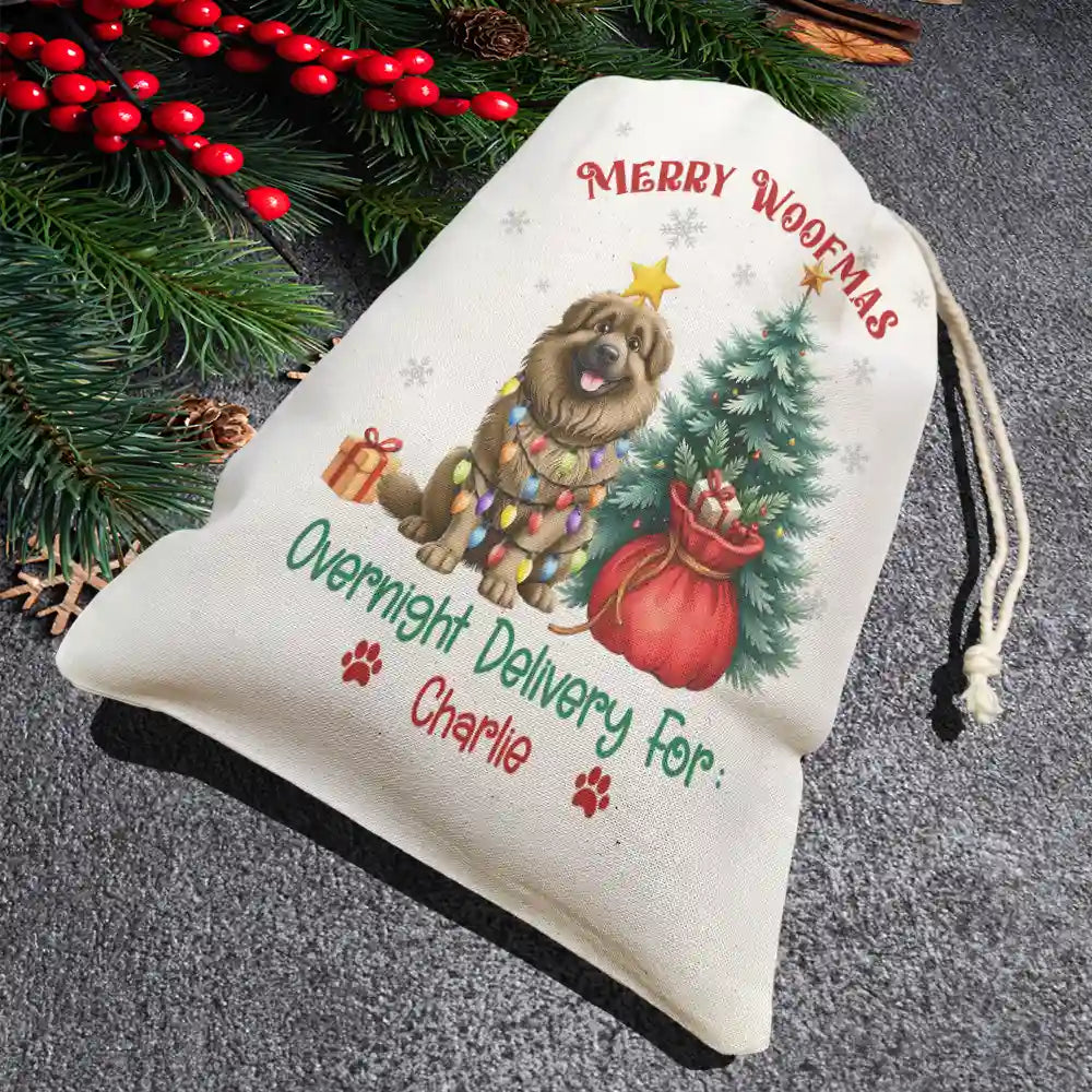 Christmas, Pet Lovers, Dog Lovers, Happy - Merry Woofmas Overnight Delivery 3D Effect Dog - Personalized Favor Bag