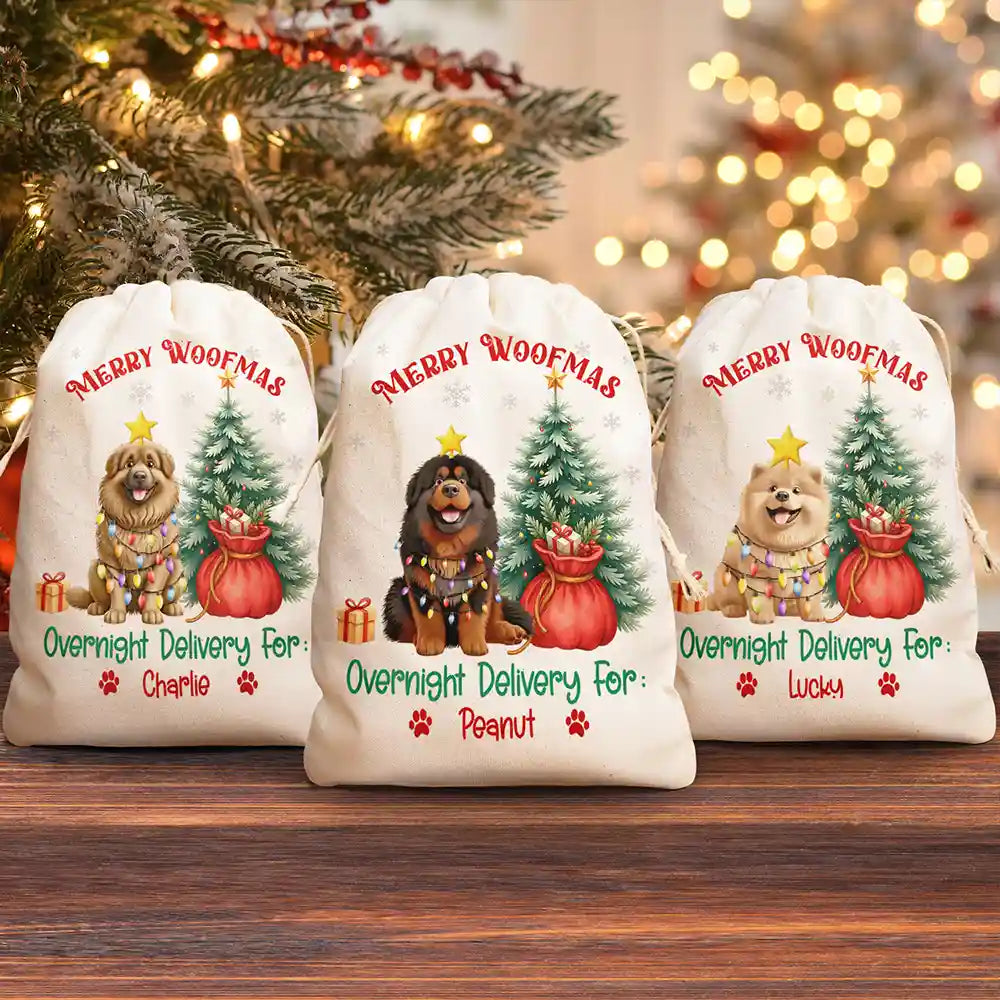 Merry Woofmas Overnight Delivery 3D Effect Dog - Personalized Favor Bag