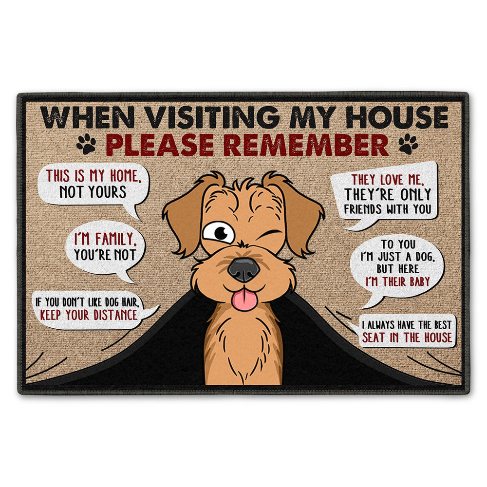 Funny Cartoon Dogs When Visiting My House - Home Decor Gift For Dog Lovers - Personalized Doormat