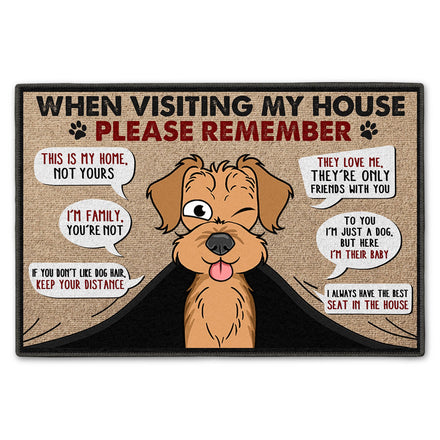 Funny Cartoon Dogs When Visiting My House - Home Decor Gift For Dog Lovers - Personalized Doormat