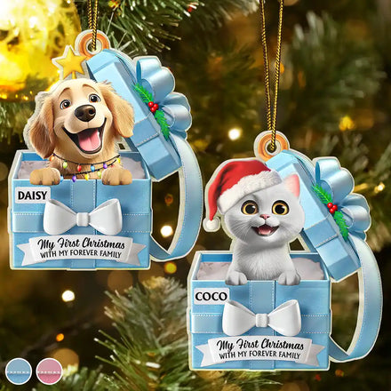 Pet First Christmas, Gift Reveals, Gift Box 3D Effect - Personalized Custom Shaped Acrylic Ornament
