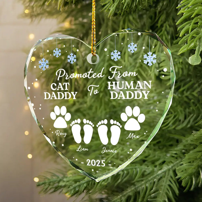 Pet Lovers,Pet Mom,Pet Dad,Pet Couple,New Dad,New baby,New Mom,Family,Christmas,Happy - Promoted From Dog Cat Mommy To Human Mommy - Personalized Heart Shaped Glass Ornament