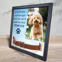 Custom Photo You Were My Favorite Hello And Hardest Goodbye - Memorial, Sympathy Gift For Dog Owners, Cat Lovers - Personalized Pet Loss Sign, Collar Frame