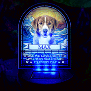 Custom Photo I'm Always With You - Personalized Solar Light