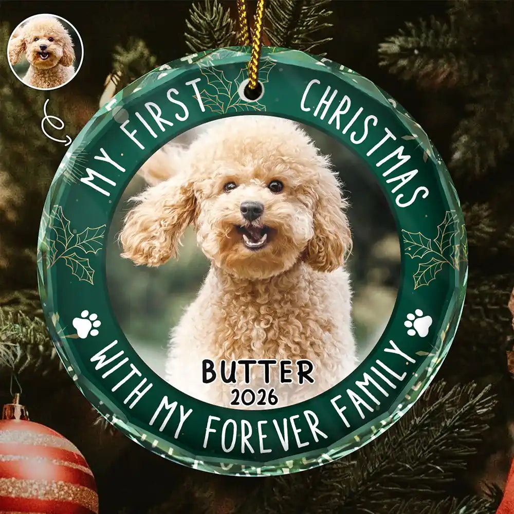 Décoration de Noël personnalisée pour les amoureux des animaux - Décoration en verre ronde personnalisée