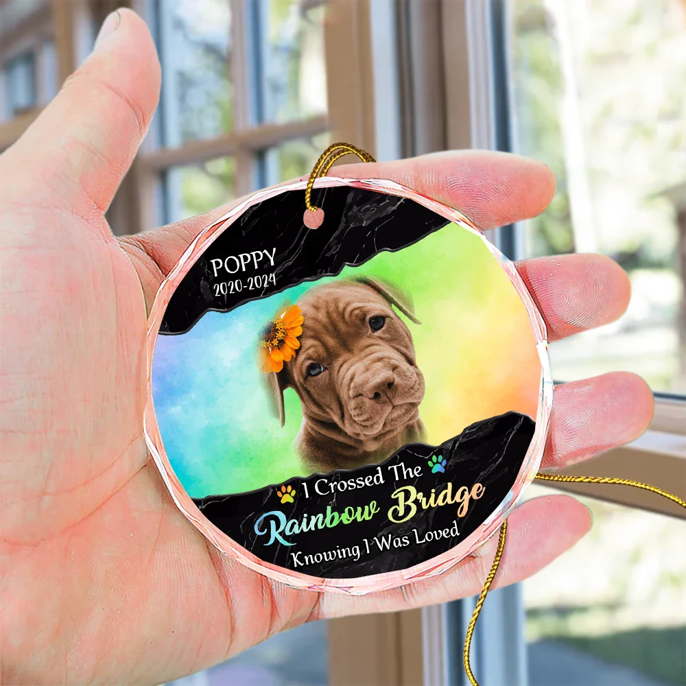 Custom Photo I Crossed The Rainbow Bridge Memorial - Personalized Circle Glass Ornament