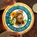 Pet Lovers - Custom Photo First Christmas Pet - Personalized LED Pendant Light