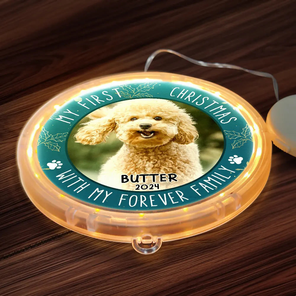 Pet Lovers - Custom Photo First Christmas Pet - Personalized LED Pendant Light