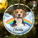 Memorial, Pet Lovers - Custom Photo Pet Face Rainbow Bridge - Personalized Circle Glass Ornament
