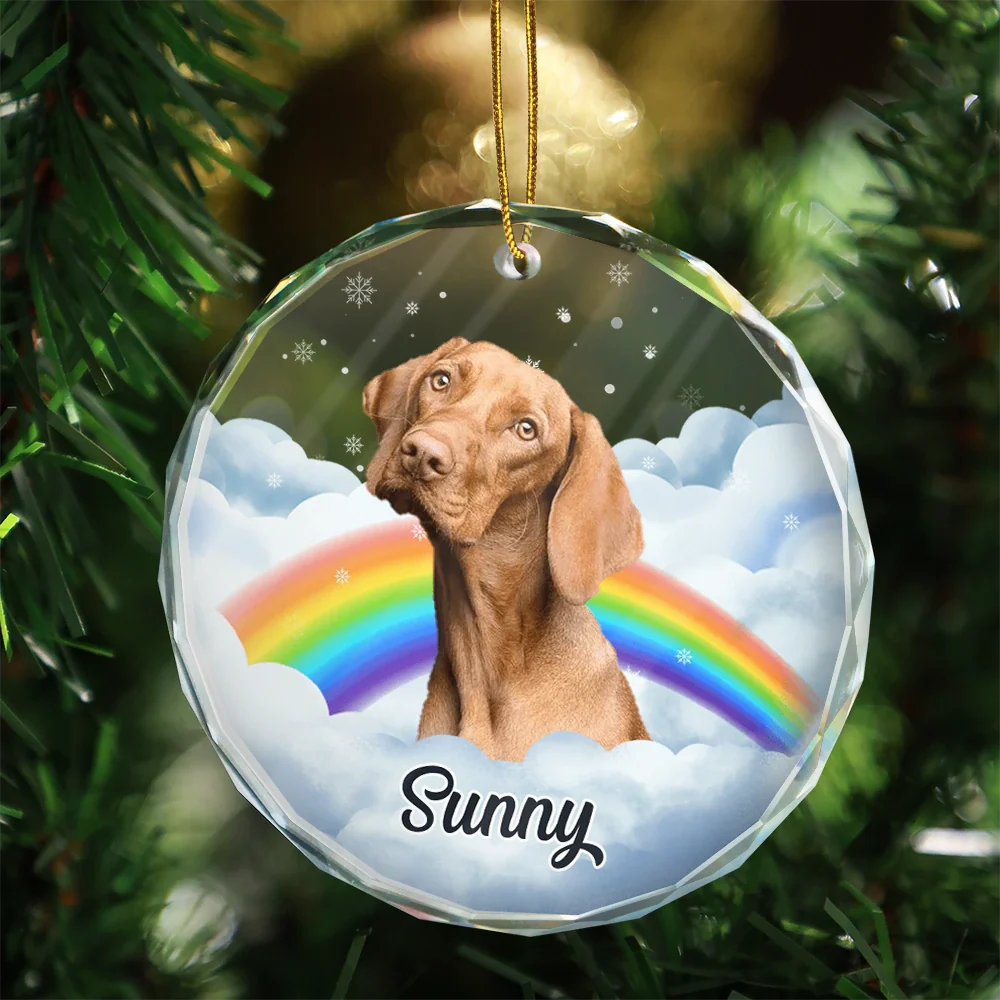 Memorial, Pet Lovers - Custom Photo Pet Face Rainbow Bridge - Personalized Circle Glass Ornament