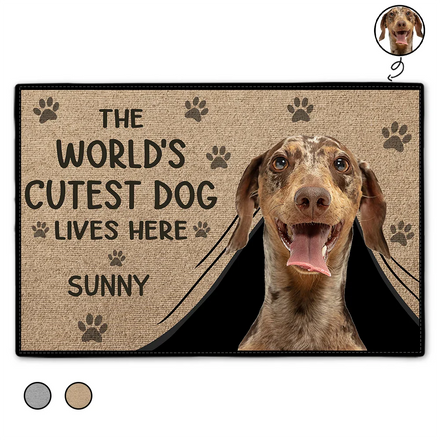 Paillasson personnalisé avec photo personnalisée : Le chien le plus mignon du monde vit ici 
