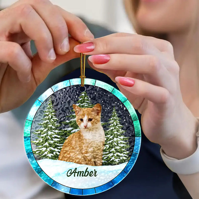 Décoration de Noël personnalisée en vitrail pour amoureux des animaux 