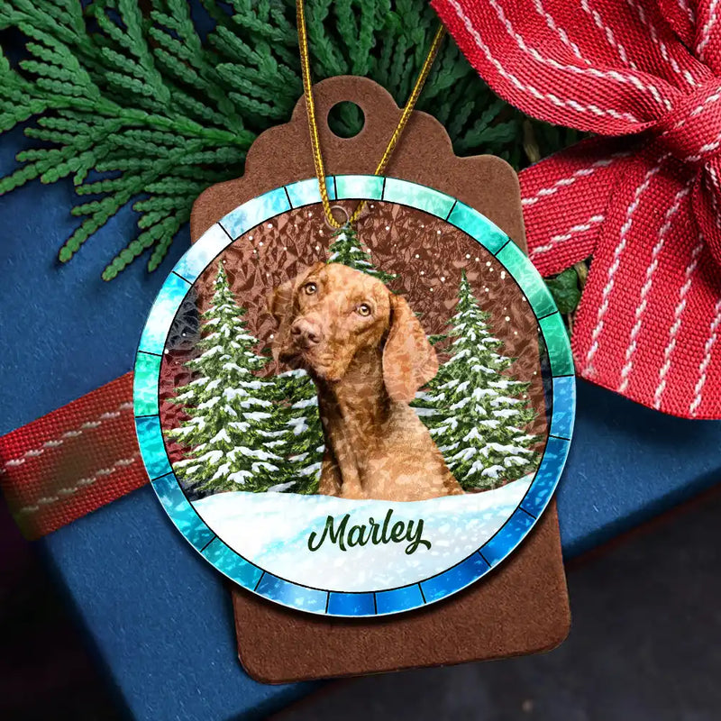 Décoration de Noël personnalisée en vitrail pour amoureux des animaux 