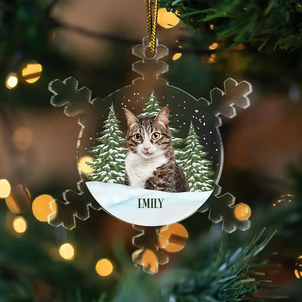 Christmas Custom Photo Family Pet Face - Personalized Custom Shaped Acrylic Ornament