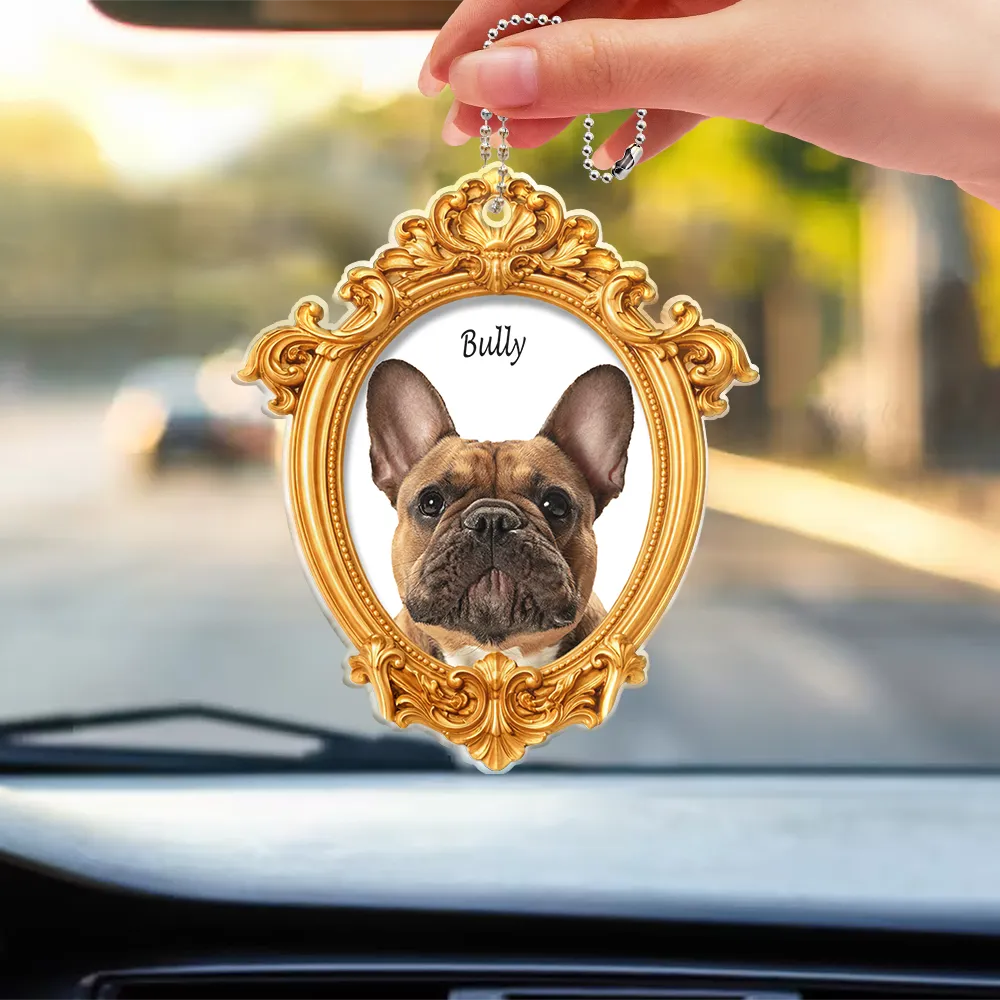 Memorial,Pet Lovers,Cat Lovers,Dog Lovers,Sad - Custom Photo Pet Memorial Ornate Frame Gift For Pet Lovers - Personalized Acrylic Car Hanger