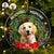 Custom Photo In Loving Memory - Christmas, Memorial Gift For Family, Pet Lovers - Personalized Circle Acrylic Ornament