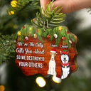 Pet Lovers I'm The Only Gift You Need - Christmas Gift For Pet Lovers - Personalized Medallion Wooden Ornament