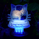 Sentimental,Custom Photo,Pet Lovers,Memorial,Upload Full Photo - Custom Photo I Will Carry You With Me - Personalized Solar Light
