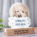 Sentimental,Custom Photo,Pet Lovers,Memorial,Upload Full Photo - Custom Photo I Will Carry You With Me - Personalized Custom Shaped LED Light