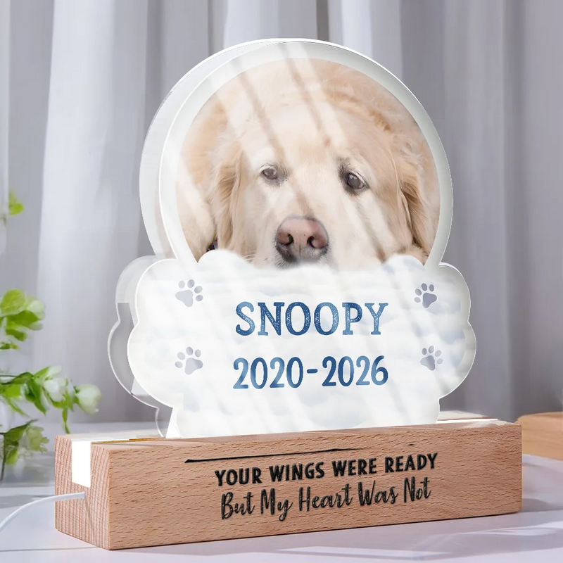 Sentimental,Custom Photo,Pet Lovers,Memorial,Upload Full Photo - Custom Photo I Will Carry You With Me - Personalized Custom Shaped LED Light