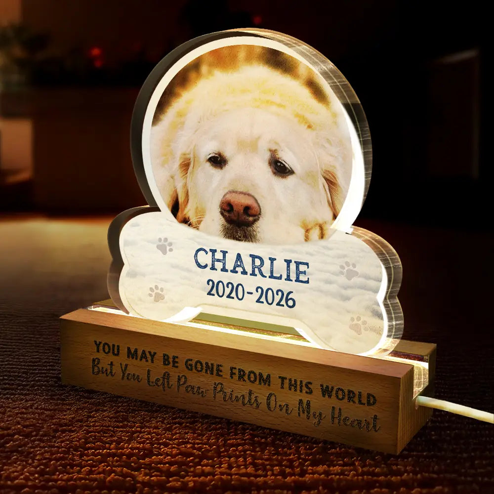 Sentimental,Custom Photo,Pet Lovers,Memorial,Upload Full Photo - Custom Photo I Will Carry You With Me - Personalized Custom Shaped LED Light