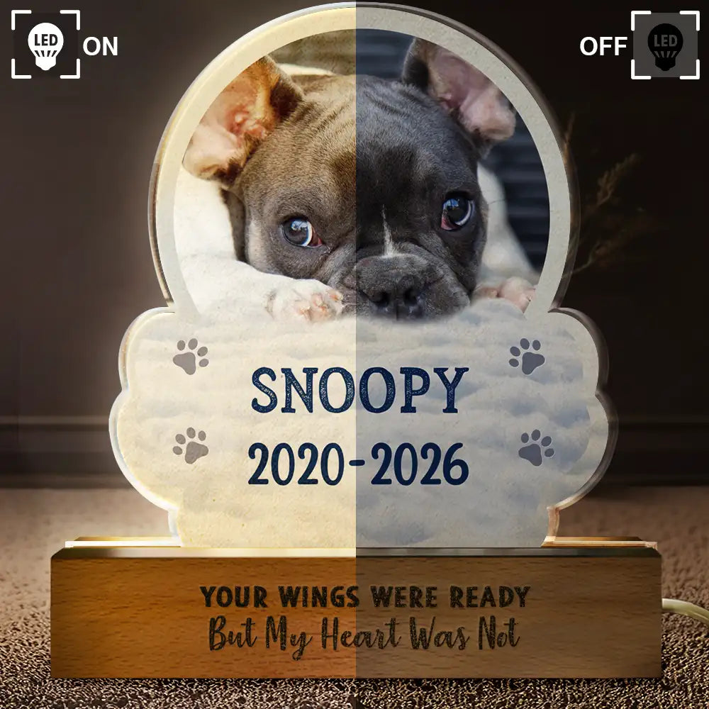 Sentimental,Custom Photo,Pet Lovers,Memorial,Upload Full Photo - Custom Photo I Will Carry You With Me - Personalized Custom Shaped LED Light