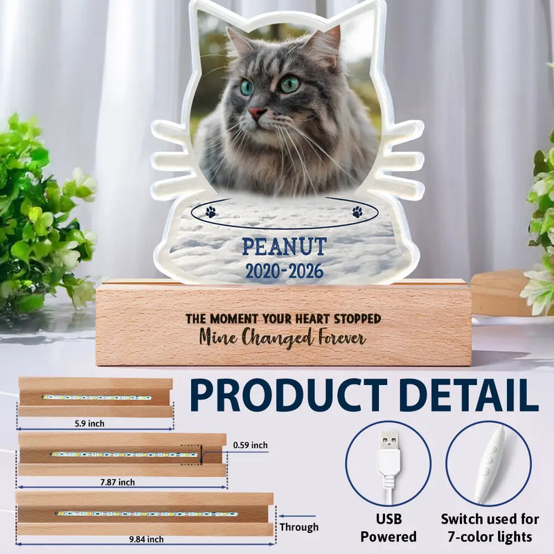 Sentimental,Custom Photo,Pet Lovers,Memorial,Upload Full Photo - Custom Photo I Will Carry You With Me - Personalized Custom Shaped LED Light