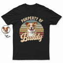Custom Photo Pawperty Of - Gift For Dog Lovers - Personalized T Shirt