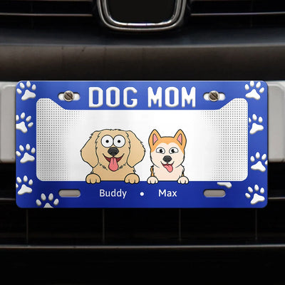 License Plate