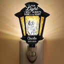 Dog Lovers,Dog Mom,Dog Dad,Pet Lovers,Pet Mom,Pet Dad,Memorial,Sad - Chinoiserie Toile Dog Your Light Will Always Shine - Personalized Plug-in Night Light