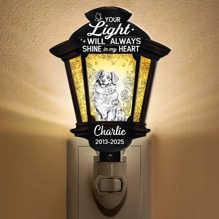 Chinoiserie Toile Dog Your Light Will Always Shine - Personalized Plug-in Night Light