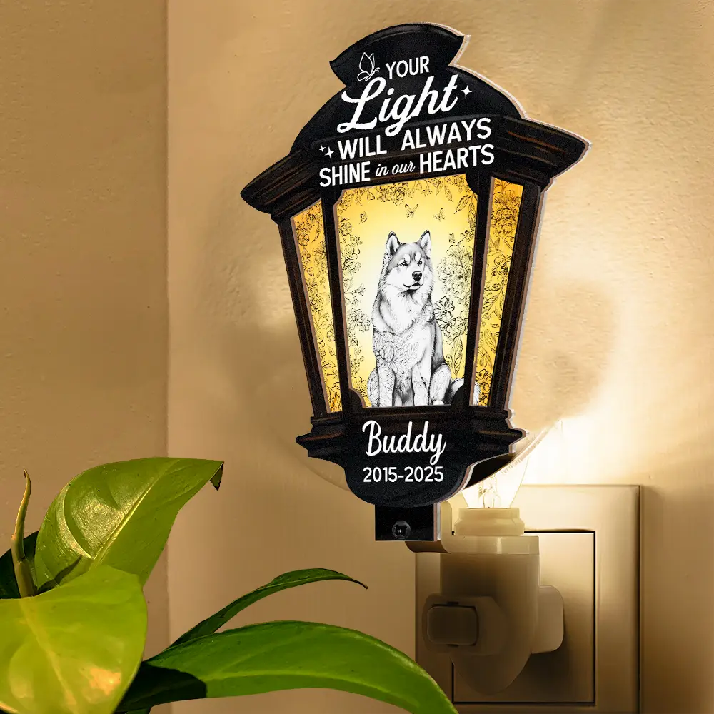 Dog Lovers,Dog Mom,Dog Dad,Pet Lovers,Pet Mom,Pet Dad,Memorial,Sad - Chinoiserie Toile Dog Your Light Will Always Shine - Personalized Plug-in Night Light