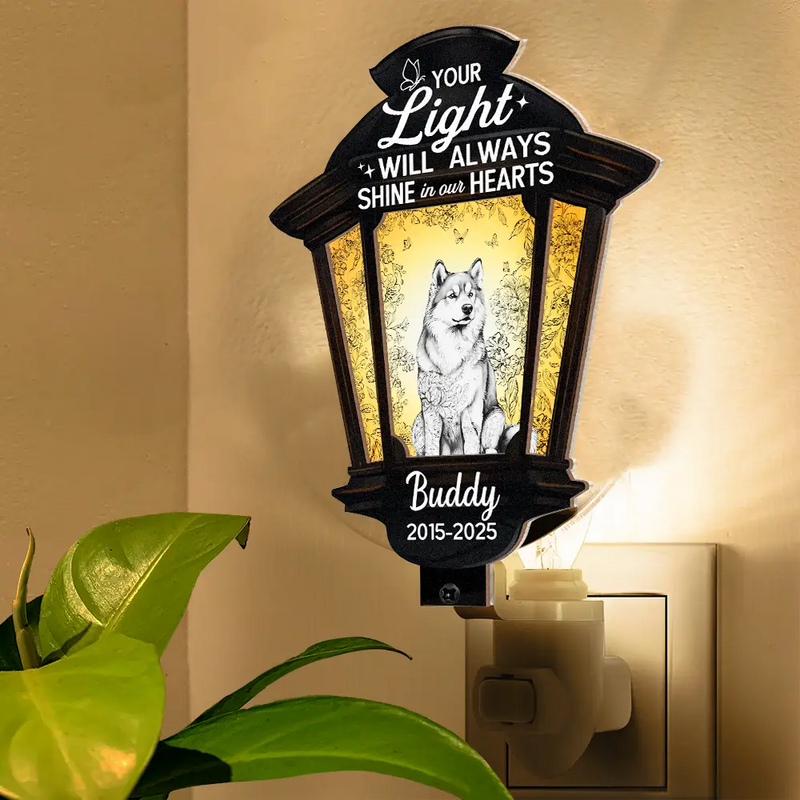 Dog Lovers,Dog Mom,Dog Dad,Pet Lovers,Pet Mom,Pet Dad,Memorial,Sad - Chinoiserie Toile Dog Your Light Will Always Shine - Personalized Plug-in Night Light