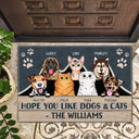 Hope You Like Dogs & Cats - Funny, Home Decor Gift For Dog Lovers, Cat Lovers - Personalized Custom Doormat