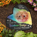 Photo personnalisée « J'ai traversé le pont arc-en-ciel en sachant que j'étais aimé » - Souvenir, cadeau de deuil pour la famille, amoureux des animaux - Pierre commémorative de jardin en forme de cœur personnalisée