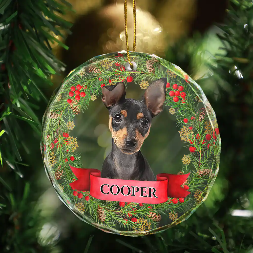 Custom Photo If Love Could Saved You Pet Lover - Personalized Circle Glass Ornament