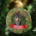 Custom Photo If Love Could Saved You Pet Lover - Personalized Circle Glass Ornament