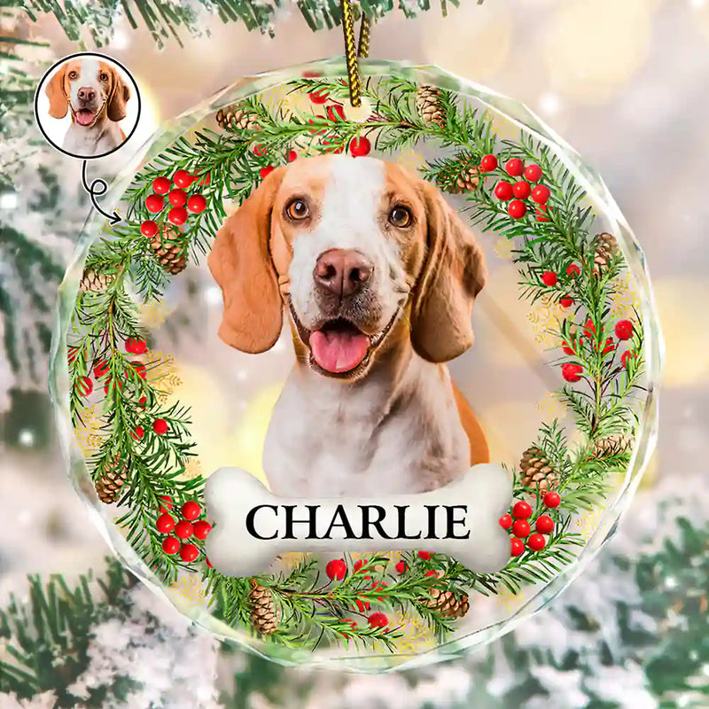Custom Photo If Love Could Saved You Pet Lover - Personalized Circle Glass Ornament
