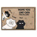 Hope You Like Cats - Birthday, Loving, Funny, Home Decor Gift For Cat Lovers - Personalized Doormat