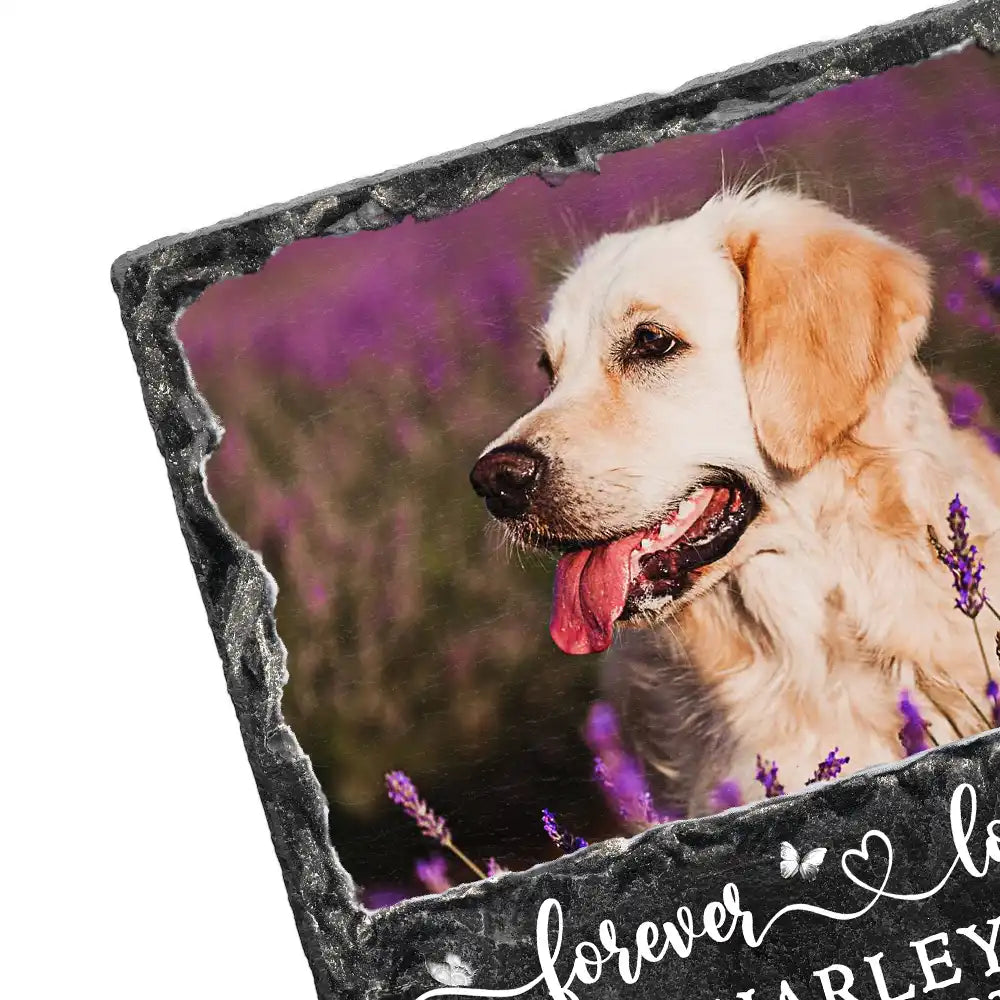 Custom Photo Forever In My Heart - Personalized Rectangle Memorial Garden Stone
