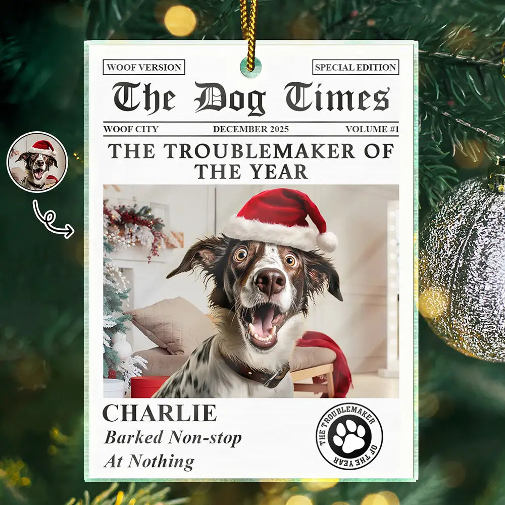 Pet Lovers,Pet Mom,Pet Dad,Dog Lovers,Dog Mom,Dog Dad,Cat Lovers,Cat Mom,Cat Dad,Custom Photo,Christmas,Funny - Custom Photo The Dog Times The Meow Times - Personalized Custom Shaped Acrylic Ornament