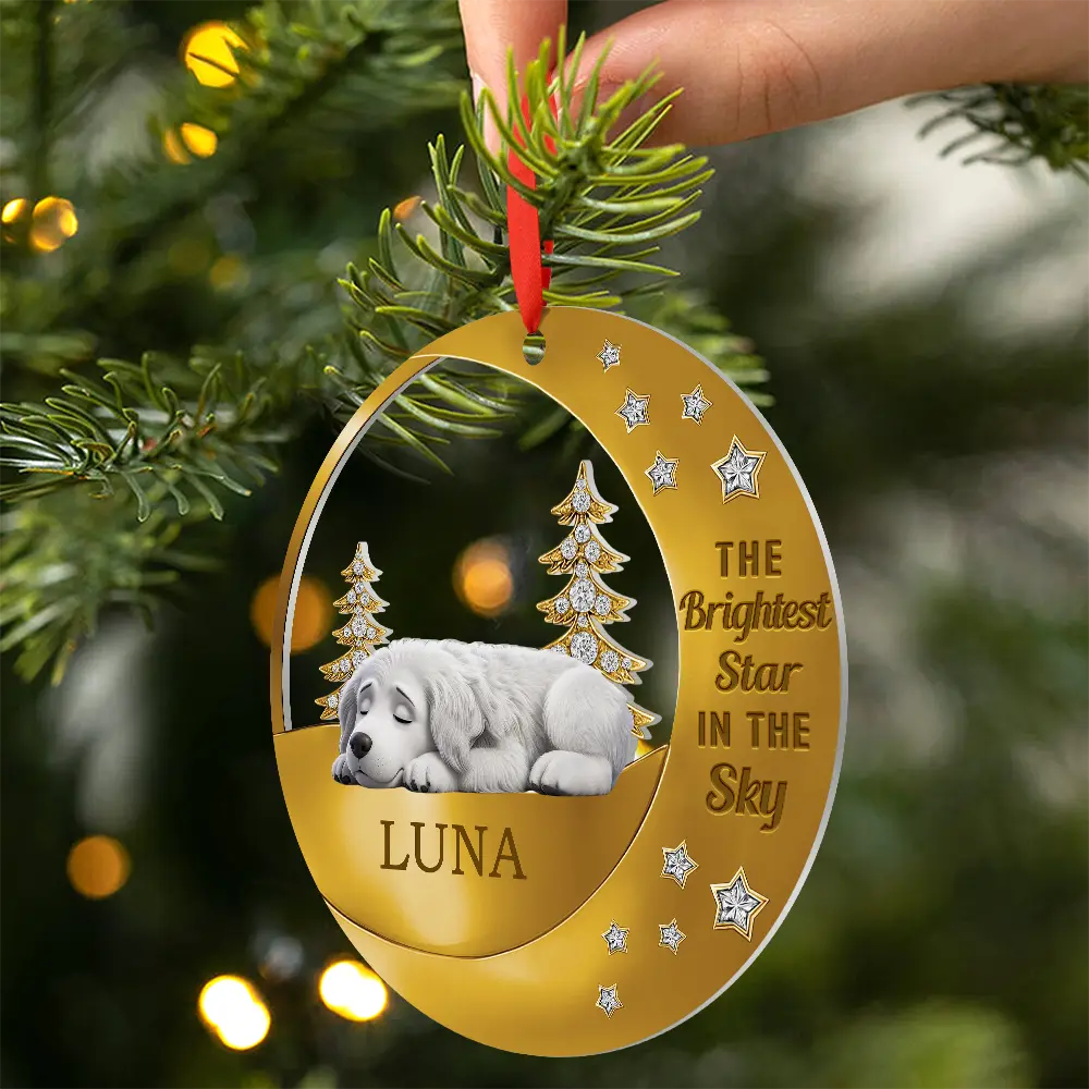 Dog Lovers,Pet Lovers,Sad,Memorial - The Brightest Star In The Sky - Personalized Metal Ornament