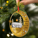 Dog Lovers,Pet Lovers,Sad,Memorial - The Brightest Star In The Sky - Personalized Metal Ornament
